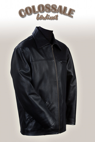 Luis  2 Leather jackets for Men preview image