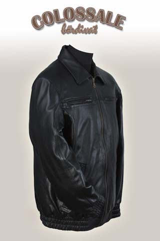 Roland  2 Leather jackets for Men preview image